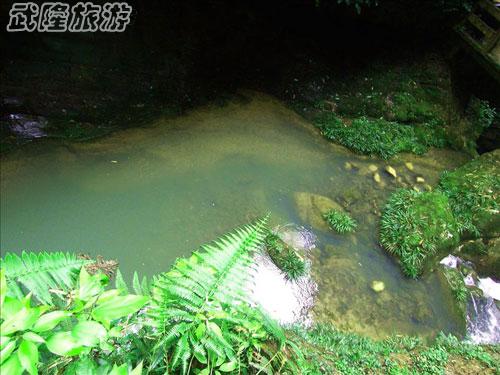 鯉魚池