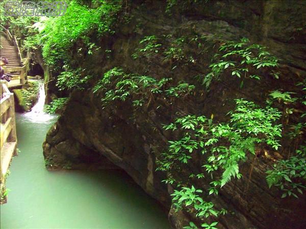 龍水峽地縫景點(diǎn)之“玉龜出山”