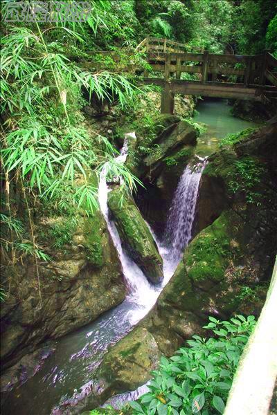 龍水峽地縫景點“圣象戲水”
