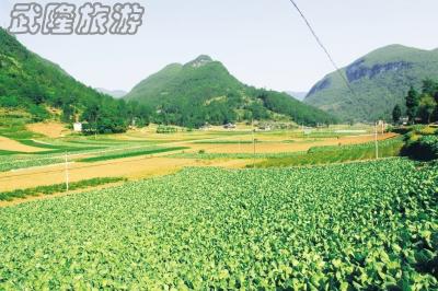 木根村負(fù)氧離子生態(tài)旅游自駕線路攻略
