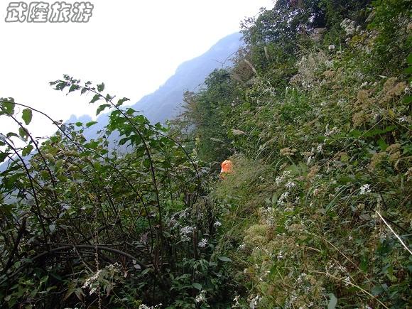 仙女山夢幻谷徒步指南