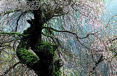 旅行拍片:細雨拍攝的四個訣竅