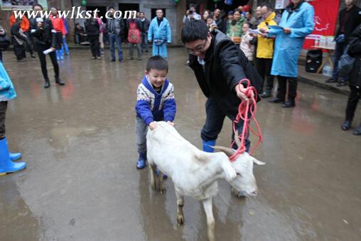 馭馬伙伴行 與愛同行 重走“爸爸路”武隆溫馨親子之旅獻映