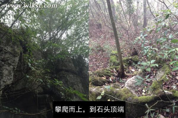 烏木、化石隨地撿，重慶無人峽谷大冒險（完整版）——【女漢紙武隆秘境探險記】第十四節(jié)