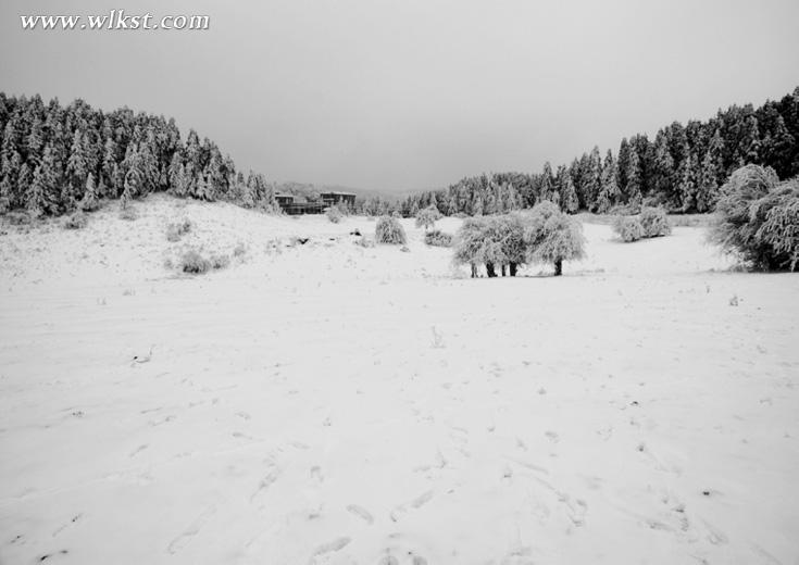 奔跑吧 第二屆仙女山雪地光豬跑“裸”跑來襲