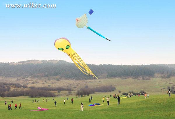 四月踏青出游最浪漫！掃武隆景區(qū)微信免費(fèi)游仙女山