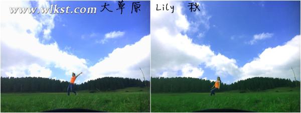 如果我是向日葵-你們就是我的陽光（重慶武隆）