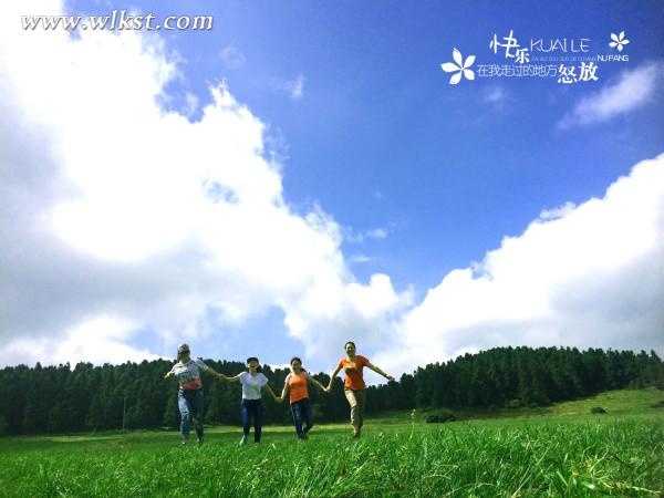 如果我是向日葵-你們就是我的陽光（重慶武?。? width=