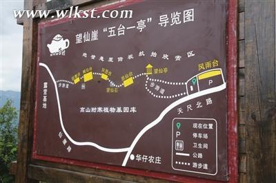 茶山導(dǎo)覽圖