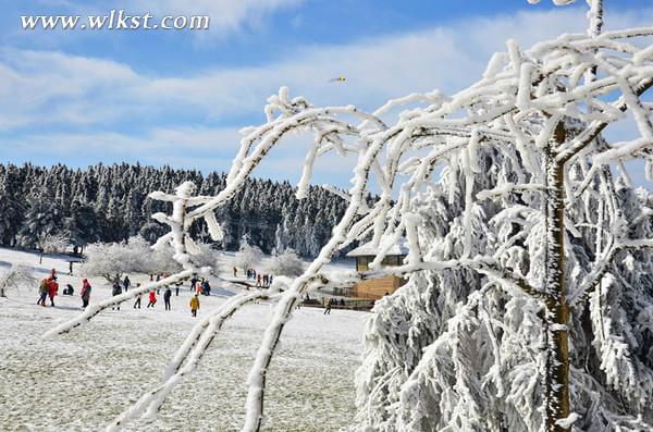 2015冬天仙女山旅游攻略(玩雪、門票、精彩看點(diǎn)等)