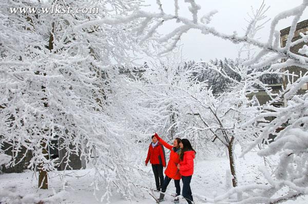 仙女山看雪需要門票嗎?多少錢?