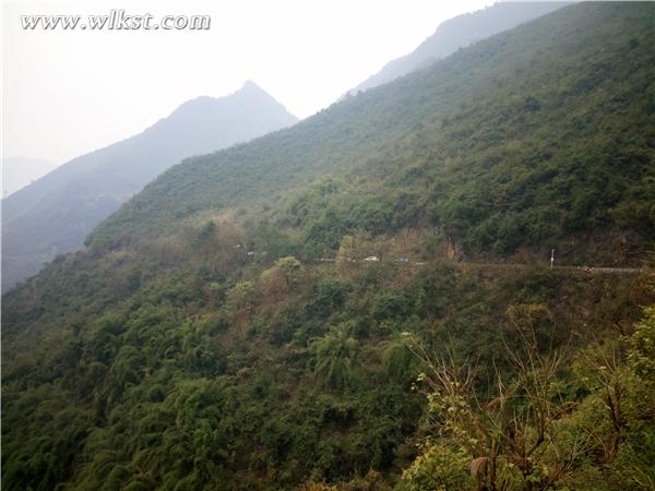 在景區(qū)公路上寫生的游客
