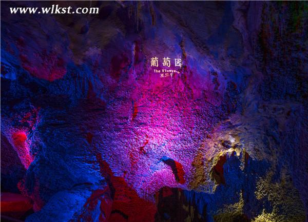 新增景點(diǎn)—葡萄園