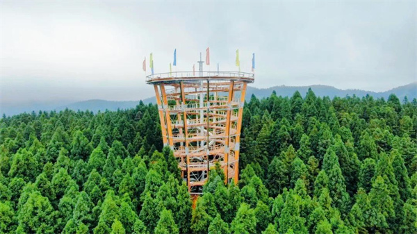  仙女山樹頂漫步