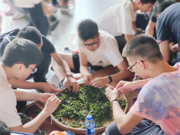 體驗制茶