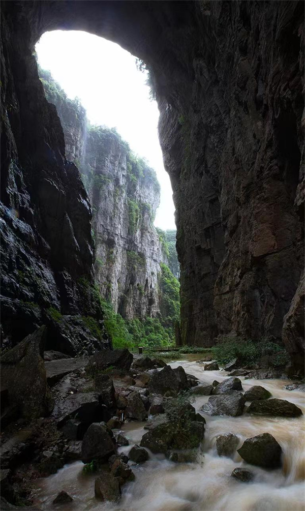 鯉魚躍龍門景觀