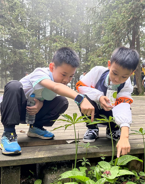 學(xué)生認(rèn)識植物