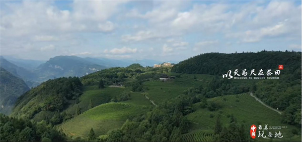 山水茶境點(diǎn)