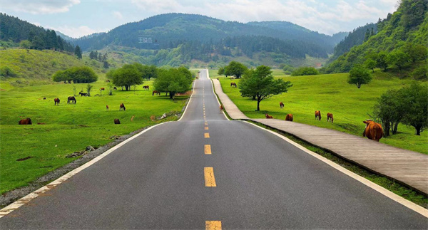 《驕陽伴我》取景地仙女山最美公路