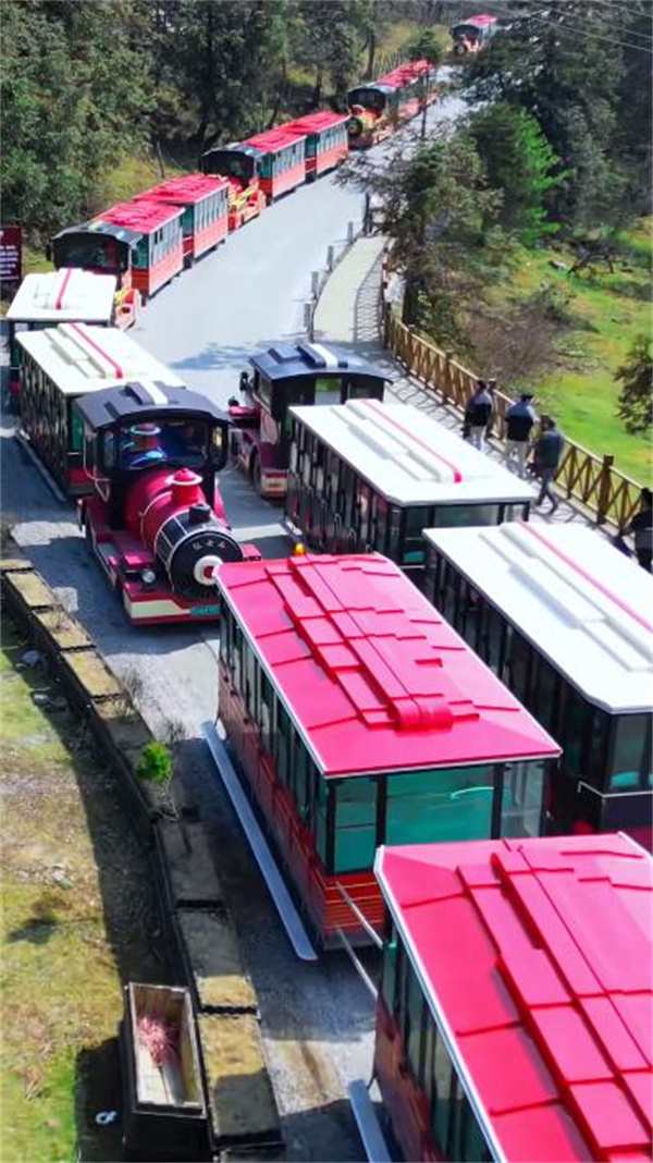 極具歐洲風情的仙女山小火車