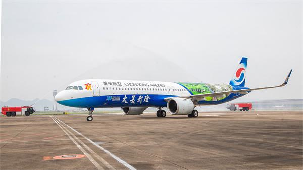“大美武隆”號彩繪飛機